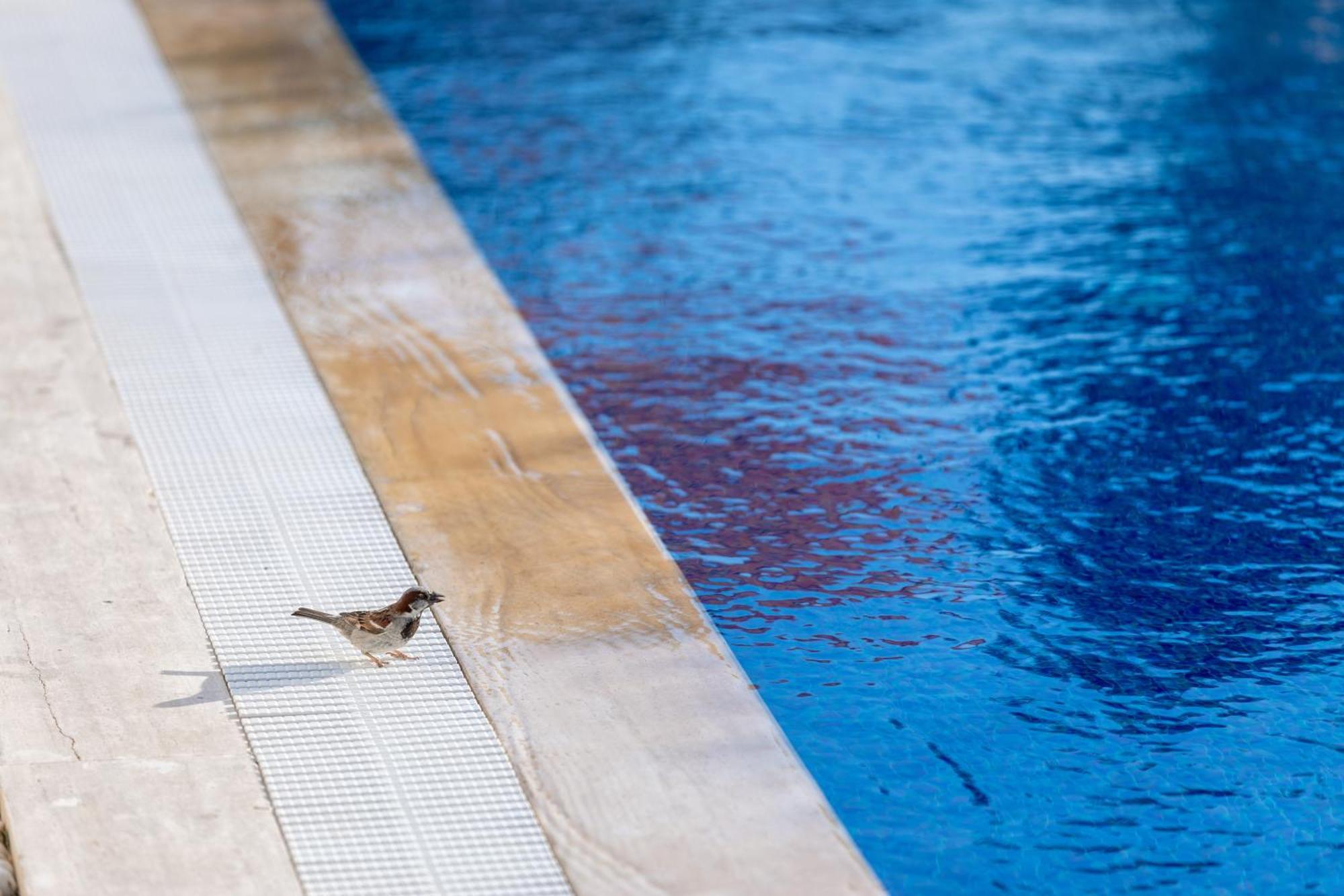 N Hotels Cesme Dalyankoy  Εξωτερικό φωτογραφία